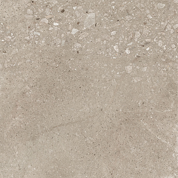 Harley Керамогранит бежевый 50х50 матовый Harley Керамогранит бежевый 50х50 матовый