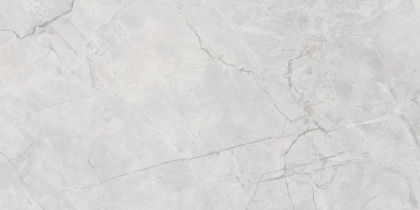 Connect Gris Керамогранит серый SG50002922R 60х119,5 полированный