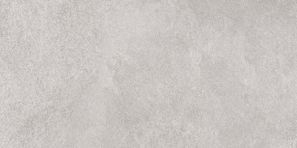 Керамогранит DD200320R Про Стоун Серый Светлый (60см*30см*9мм) (9шт/1,62м2) , м2