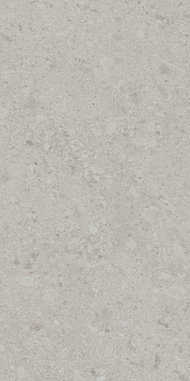 Чеппо ди Гре серый светлый матовый обрезной 60x119,5x0,9