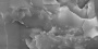 Керамогранит 600x1200 THUNDER NATURAL Керамогранит 600x1200 THUNDER NATURAL