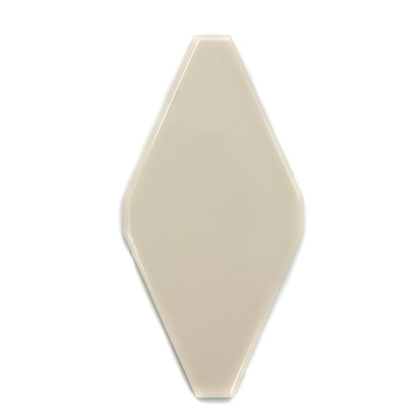 FTR-1028A керамика глянцевая (100*200) плоская