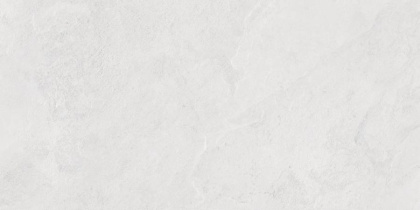 Porter Silver PRO Керамогранит светло-серый LP6012G0171R 59,5х119,1 матовый карвинг R10 STR