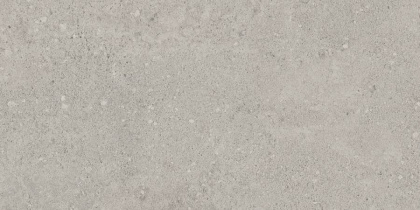 Керамогранит NP01 30,6x60,9x8 Непол.