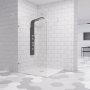 Перегородка для душа RGW WA-030-1 1100 Перегородка для душа RGW WA-030-1 1100