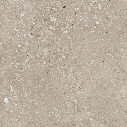 Harley Керамогранит бежевый 50х50 матовый Harley Керамогранит бежевый 50х50 матовый