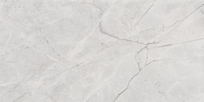 Connect Gris Керамогранит серый SG50002922R 60х119,5 полированный