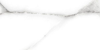 GT138VG Плитка облиц. Tonic GT Сер. 50*25 _ 1 \74,25