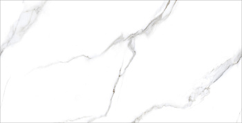 Керамогранит Statuario Carvino 60х120 Matt (2 шт.в уп)