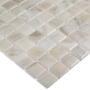 Стеклянная мозаика, 5601 Sea Salt 25x25, Nature
