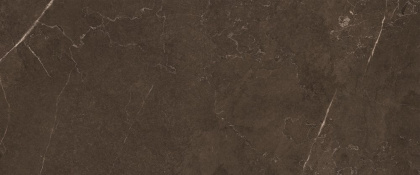 10100000501 Плитка облиц. Fiori GT Кор. 60*25 02 _ 1 \57,6