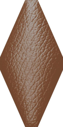 TR-1022 керамика матовая (100*200)