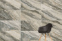 60х120 Quarstone Декоративный Фон R10B 7Рек