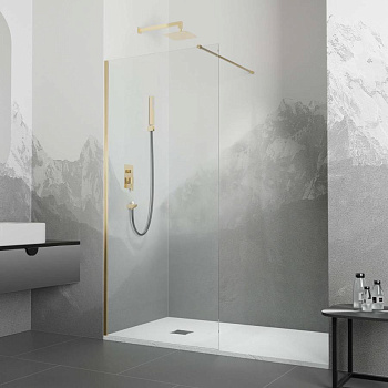 Душевая перегородка RGW WA-10G 900 Душевая перегородка RGW WA-10G 900