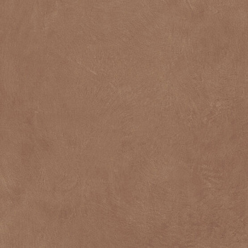 Керамогранит Argillae Terra Rect 120х120