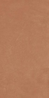 Керамогранит Anti-Slip Argillae Coral Rect 60х120