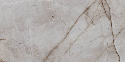 Керамогранит Laparet Silver Root полированный 60х120 (2шт_1,44м2), м2 Керамогранит Laparet Silver Root полированный 60х120 (2шт_1,44м2), м2