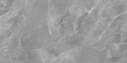 Regnum Grigio Керамогранит серый CR6012G0411R 59,5х119,1 матовый