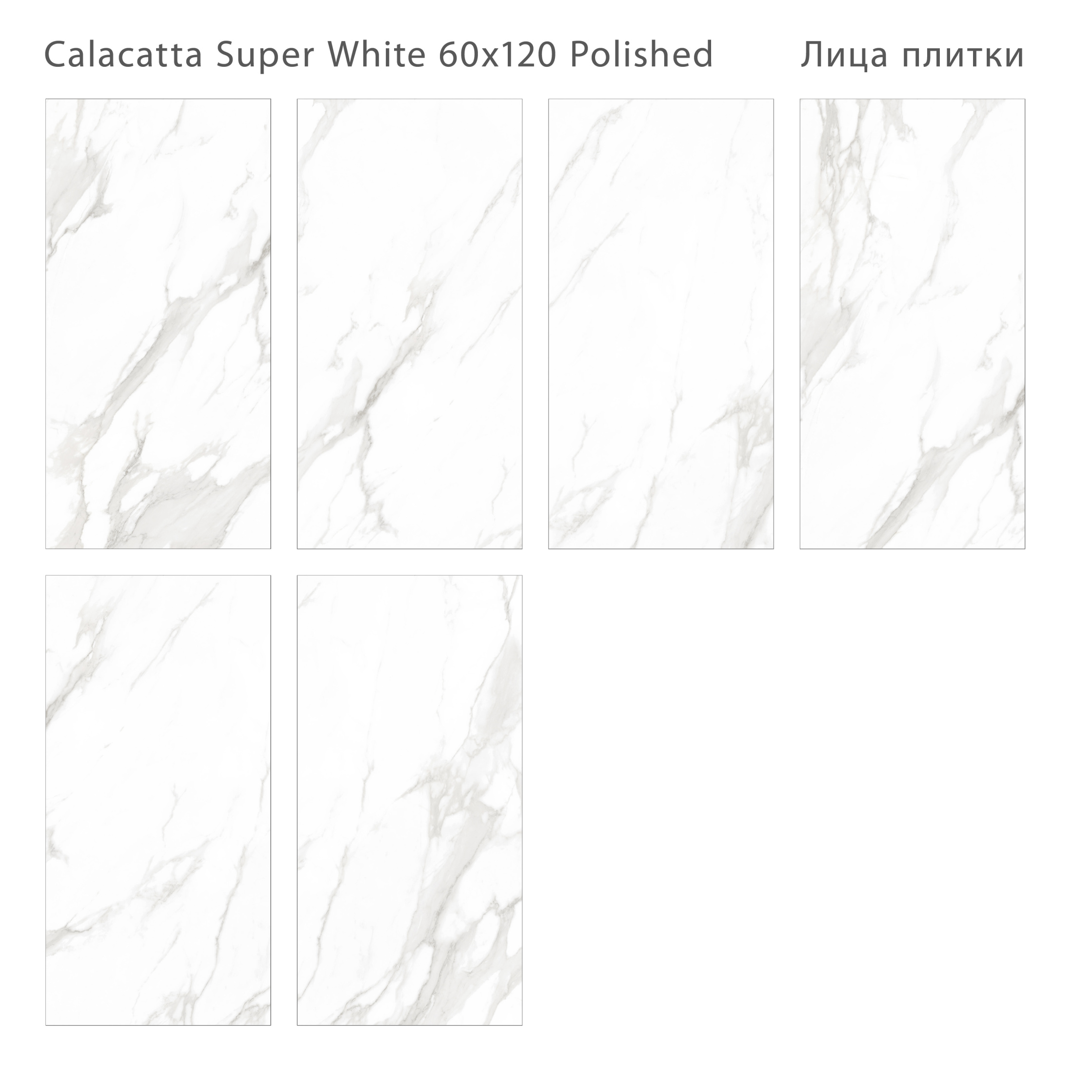 Плитка Calacatta Super White 60x120 Polished (2 шт.в уп) Плитка Calacatta Super White 60x120 Polished (2 шт.в уп)