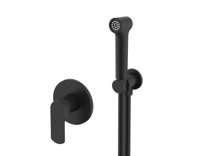 Смеситель Raglo с гигиеническим душем встраиваемый R03.53 Смеситель Raglo с гигиеническим душем встраиваемый R03.53