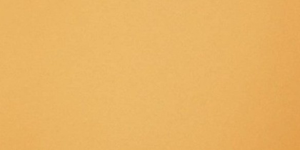 GT061М 600х1200 матовый