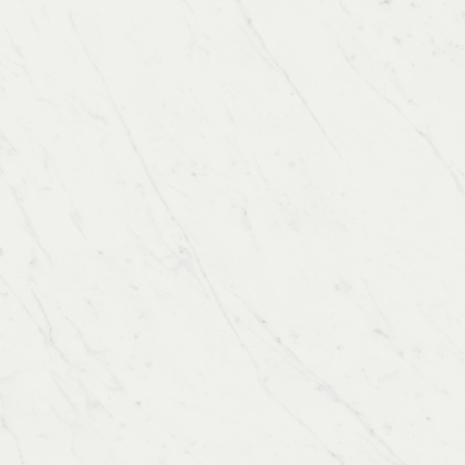 Борсари белый обрезной 50,2x50,2x0,85