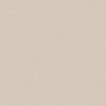 Керамогранит RW01 60x60 Непол.Рект.