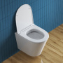 TRE Чаша унитаза подвесного c креплением и сиденьем дюропласт soft close BB8001CHR/SC