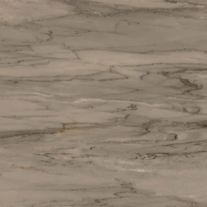 Palissandro Керамогранит Коричневый K945324LPR 60x60 Palissandro Керамогранит Коричневый K945324LPR 60x60