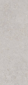 Риккарди серый светлый матовый обрезной 40x120x1 Риккарди серый светлый матовый обрезной 40x120x1