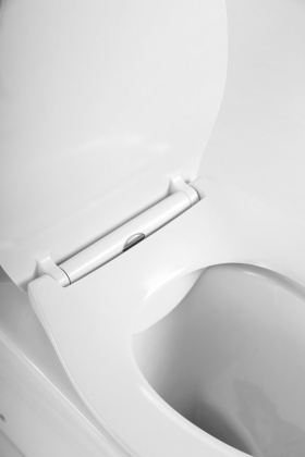 Чаша напольного унитаза BelBagno ACQUA BB340CPR