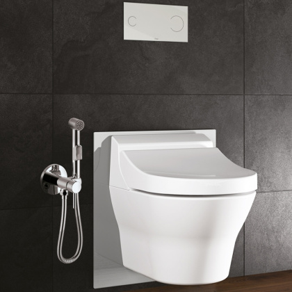 Смеситель Rossinka X25-51 с гигиеническим душем встраиваемый Смеситель Rossinka X25-51 с гигиеническим душем встраиваемый