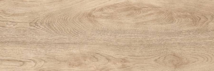 Керамогранит G-250/SR/200x600x8 GRASARO 20х60