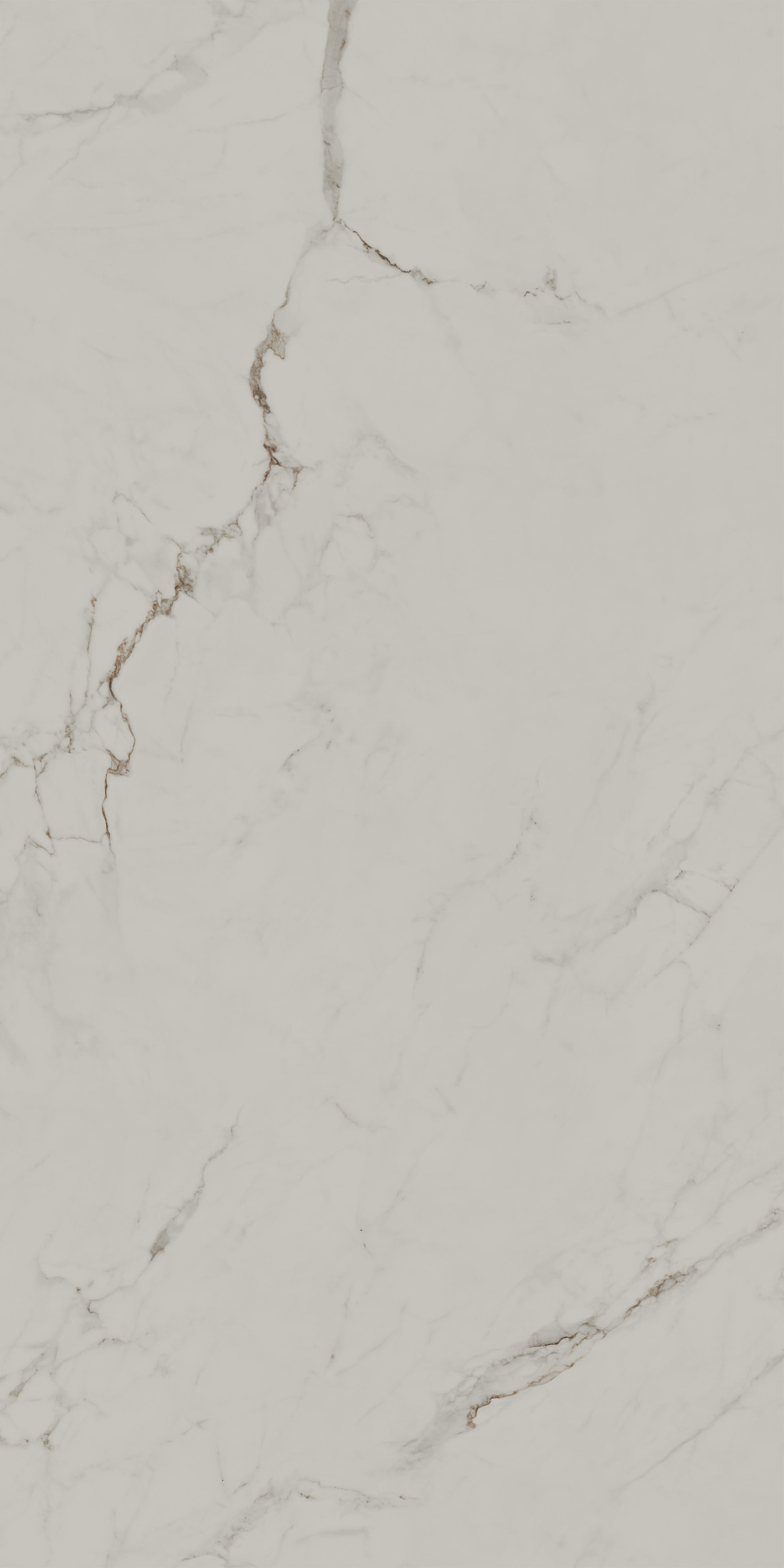 Монте Тиберио бежевый светлый матовый обрезной 80x160x0,9