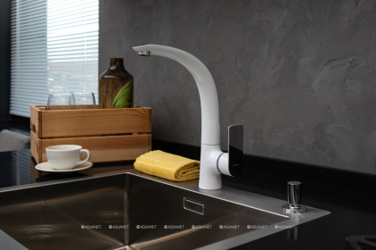 Смеситель для кухни Aquanet Arctic AF520-41СW