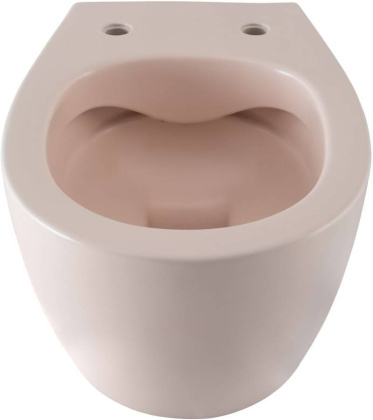 Чаша подвесного унитаза Allen Brau Fantasy 4.11004.SM розовый