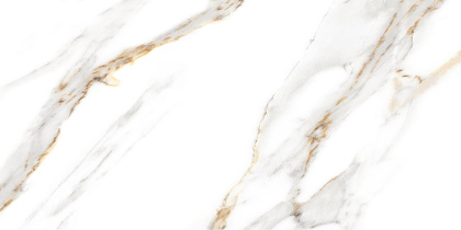 GT97VG Плитка облицовочная Capella GT Бел. 50*25 _ 1 \74,25