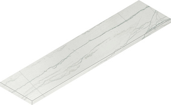 Шар.Эдв.Платинум Ступ.120 Угл.Лев Шар.Эдв.Платинум Ступ.120 Угл.Лев