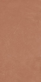 Керамогранит Argillae Coral Rect 60х120