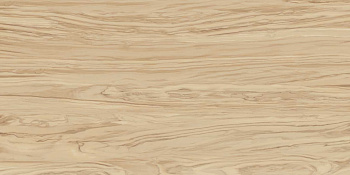 Керамоганит SG565220R Олива бежевый обрезной (119,5см*60см*9мм) (3шт/2,151м2) , м2