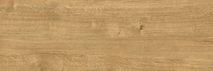 Керамогранит L3_15 Dante natural коричневый (60смх19,7смх9мм) (10шт_1,182м2), м2 Керамогранит L3_15 Dante natural коричневый (60смх19,7смх9мм) (10шт_1,182м2), м2
