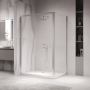 Душевой уголок 120*100*190 RGW PA-142 (PA-21 + Z-050-5) Прямоуг./Хром/Прозрачное/5 мм