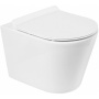 FLAY-R Чаша унитаза подвесного безободкового, P-trap BB053CHR