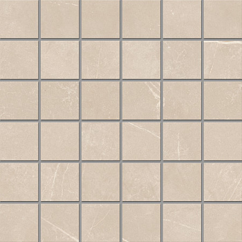 Мозаика NL01 (5х5) 30x30 непол. Мозаика NL01 (5х5) 30x30 непол.
