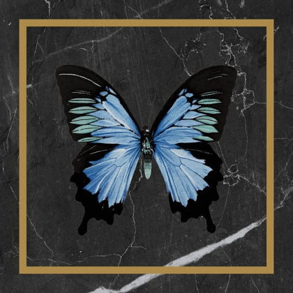 Декор Victorian Marble Blck-Gld Btfprf Gls 7R 20х20 (отгрузка кратно 4)