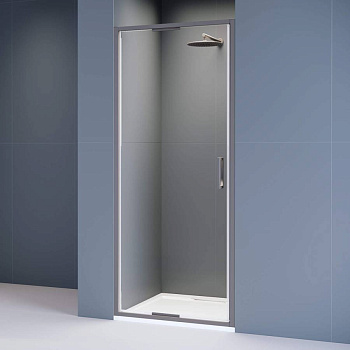 Душевая дверь  90*195 RGW SV-05-Gr Серый/Прозрачное/8 мм (Easy)