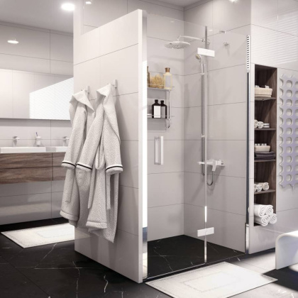 Aller 10H05RWHITE Душевая дверь Wasserkraft