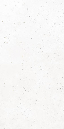 Керамогранит G-40/MR/600x1200x10 GRASARO 60х120