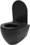 Чаша подвесного унитаза Allen Brau Reality 4.32006.31 черный матовый
