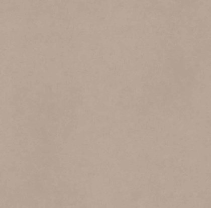 Керамогранит CA00 60x60 Непол.Рект.